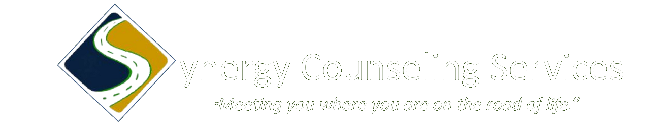 synergy counseling services muskegon
